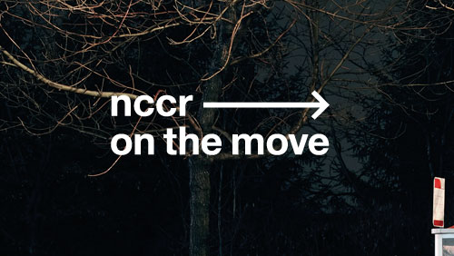 nccr – on the move, Corporate Design